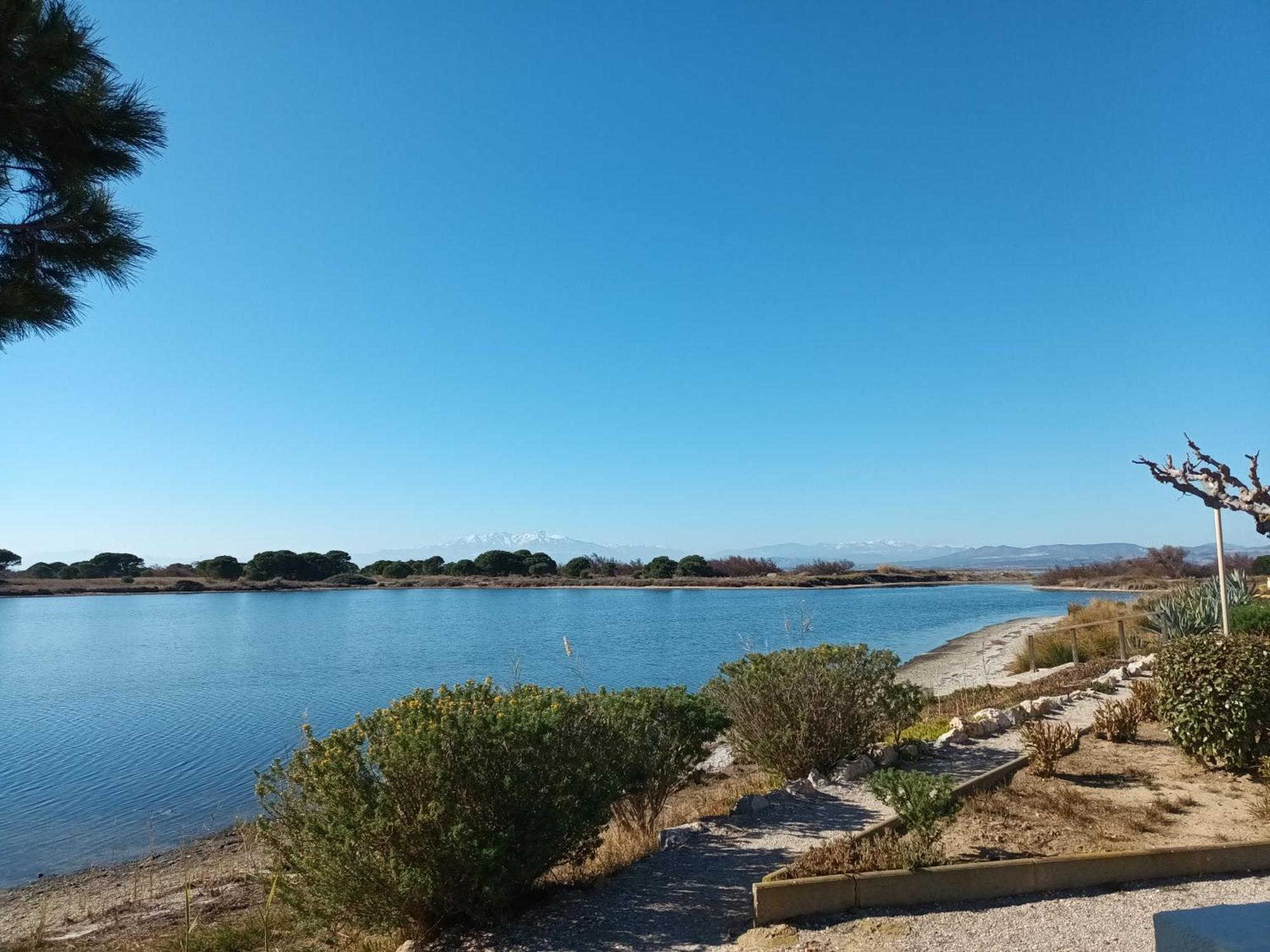 Villa "Hawai" Port Leucate Esterno foto